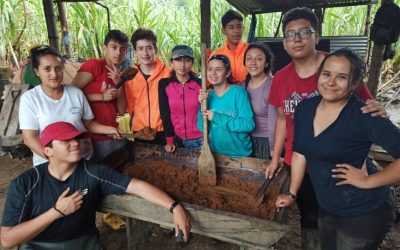 Hogar: Construyamos un ambiente seguro