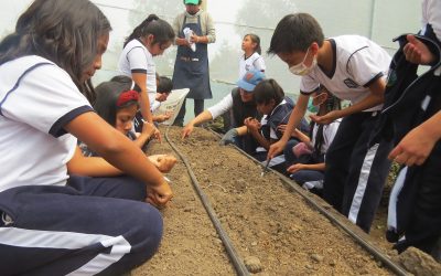 Ecogonzaga: reconciliación con la creación