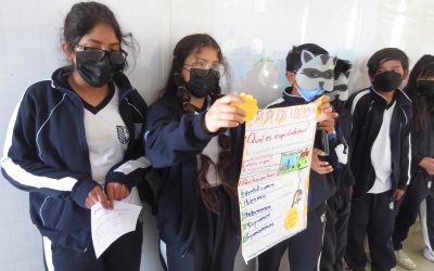 Proyectos de cierre de quimestre